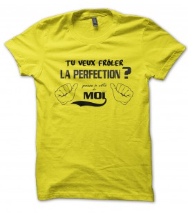 Tee Shirt Tu veux frôler la perfection ? Passe à côté de moi...