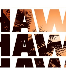 T-Shirt Hawaii Sunset, 100% coton BIO